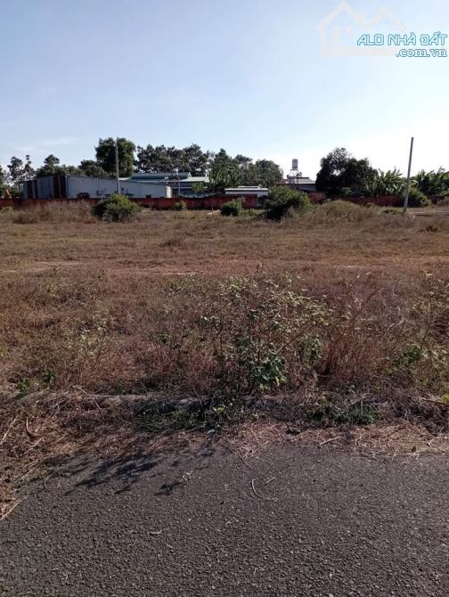 ÁN LÔ ĐẤT ĐẸP - LONG PHƯỚC, ĐỒNG NAI 🏡 - 3