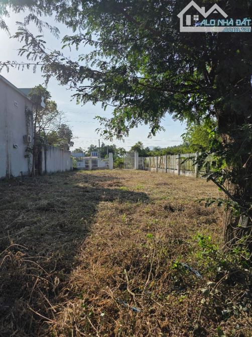 DT: 686m2 150m2 thổ cư, 4ty900triệu . Đường 52 xã Long Phước, Thành Phố Bà Rịa cần bán - 3