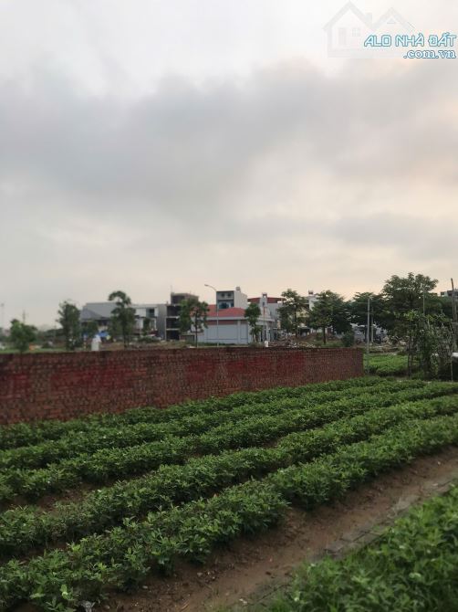ĐẤT ĐẤU GIÁ DỤC TÚ ĐÔNG ANH, KINH DOANH VỈA HẺ Ô TÔ TRÁNH, SÁT ĐƯỜNG GOM TỨ LIÊN - 3