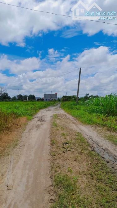 BÁN LÔ ĐẤT VƯỜN 528M2 - ĐỨC HÒA - LONG AN - GIÁ RẺ - GỌI NGAY CHO EM - 4