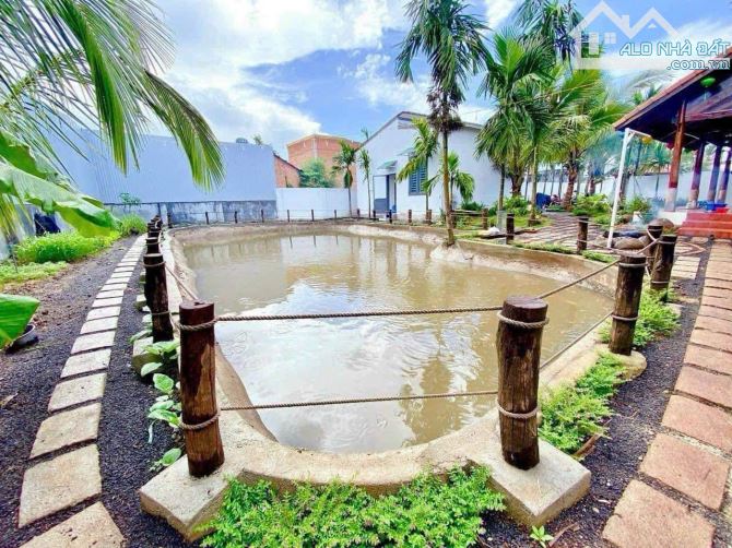 NHÀ VƯỜN HƠN 800m2 NGAY SAU CHỢ EAKAO Cách ngã 6 BMT chỉ 7km, Đường nhựa Ô tô thoải mái. - 4