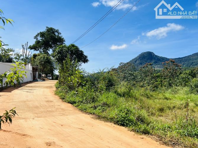 Cần bán lô đất ngay chân đèo Pren xã Hiệp An - 4