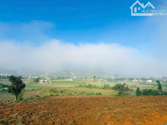 👊 Đất săn mây 5x35m Tại Ninh Loan, Đức Trọng, Lâm Đồng. - 4