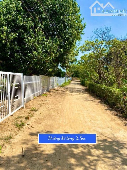 👊 Đất thổ cư 336m2 tại Đạ Lây, Đa Huoai Lâm Đồng giá chỉ từ 279tr - 4