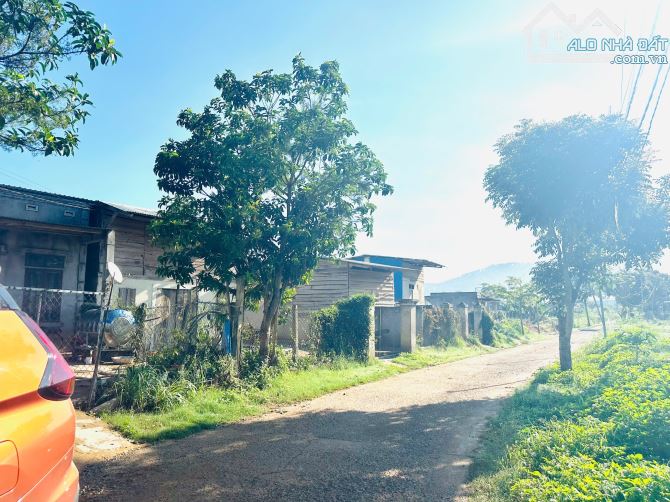 👊 Đất săn mây 5x35m Tại Ninh Loan, Đức Trọng, Lâm Đồng. - 5