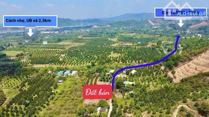 👊 Đất thổ cư 336m2 tại Đạ Lây, Đa Huoai Lâm Đồng giá chỉ từ 279tr - 5