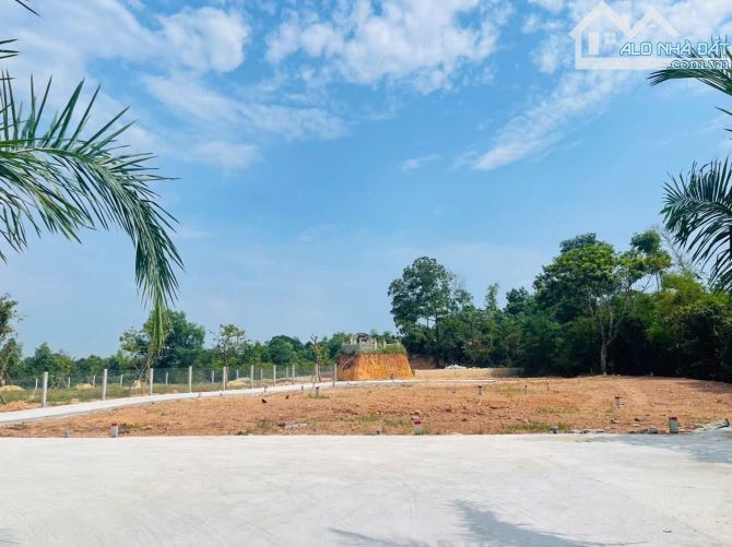 Bán 02 lô đất sát mặt tiền Lê Ngô Cát, trường Nguyễn Thị Minh Khai giá tốt an cư đầu tư - 6