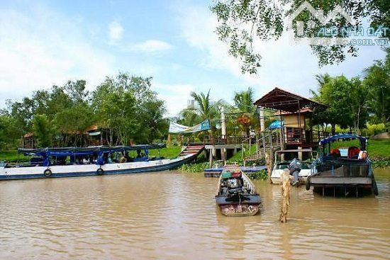 Chuyển nhượng 40ha đất dự án sinh thái nghỉ dưỡng Cồn Ấu, Cần Thơ, bến du thuyền, khu giải