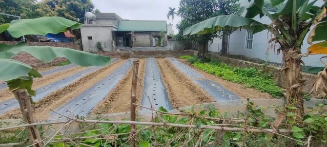 📢 BÁN LÔ ĐẤT ĐƯỜNG TO TẠI MINH QUANG – VŨ THƯ 📍 Thôn Trực Nho, xã Minh Quang. Giá 820 tr