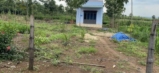 Bán 2000m2 ngay Lê Văn Khương TT Quận 12