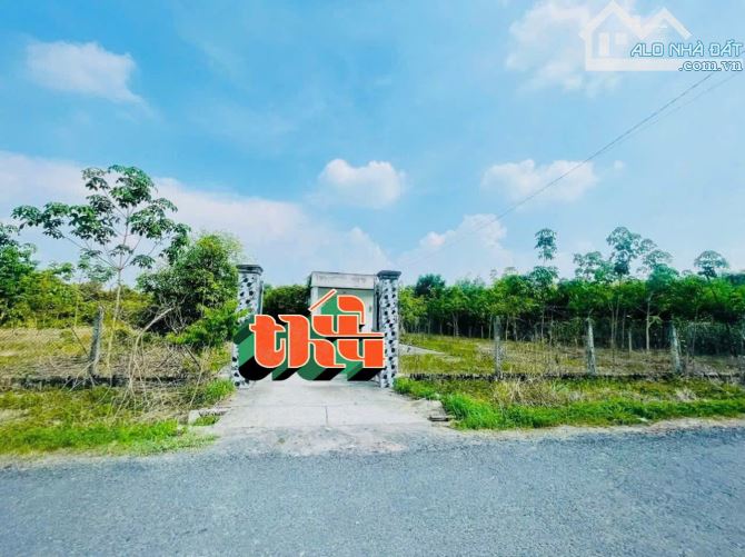 Cần bán gấp mặt tiền đường nhựa hơn 6000m2 có nhà ao cá suối giá cực rẻ 2tyxx