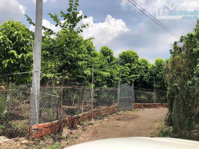 D090 🏚️ Cần bán gấp nhà vườn  Diện tích : 11.000m2 quy hoạch đất ở tại nông thôn