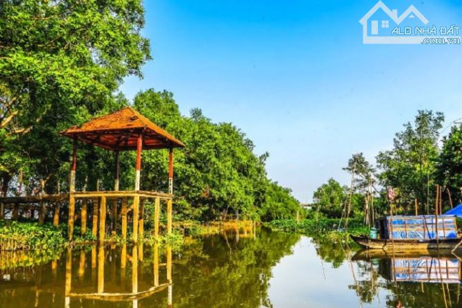 Chuyển nhượng 40ha đất dự án sinh thái nghỉ dưỡng Cồn Ấu, Cần Thơ, bến du thuyền, khu giải - 1