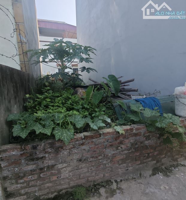 Bán mảnh đất Đông Mỹ, Thanh Trì 44m2, đường thông, ô tô vào đất, giá 2,85 tỷ - 1