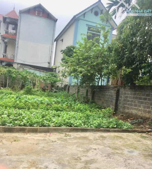 Bán đất xã Thanh Bình 99m2, Mt 5m, Gần đường Quốc Lộ 6A, Oto vào tận đất ,Giá chỉ 2.795 tr - 1