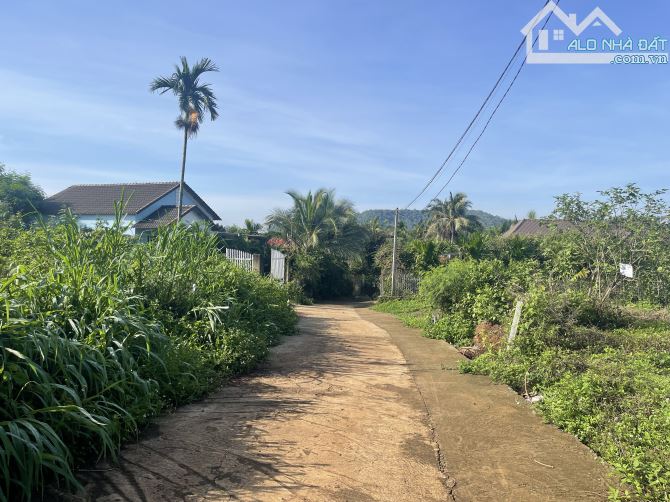 Đất Hoà Thắng Cách Đại Lộ 120m. Đường ô tô - 1