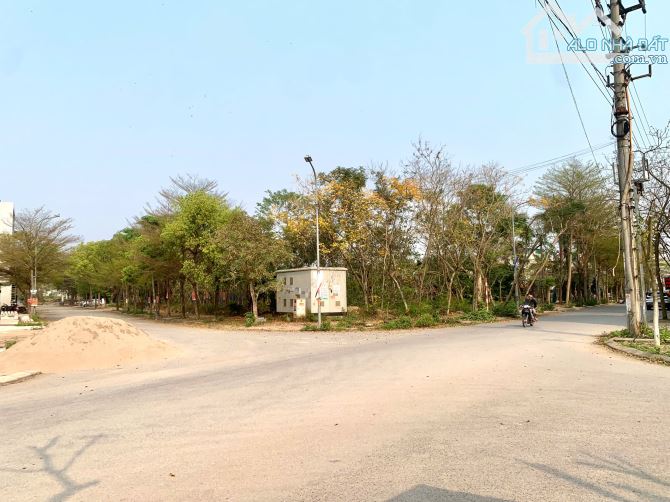 SIÊU PHẨM KINH DOANH NAM HỒNG ĐỒNG KỴ, TỪ SƠN: 260m2, mt17m - 1