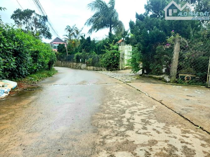 Bán đất sát thông view cao đẹp gần khu biệt thự Đống Đa trung tâm Đà Lạt - 1