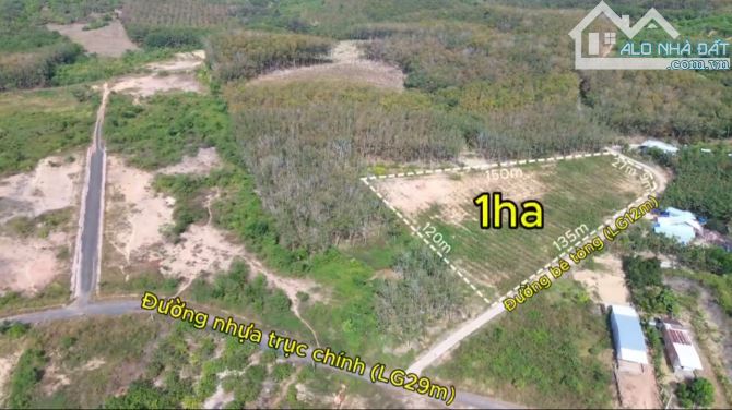 1 HA ĐỒNG TÂM CÓ 170M MẶT TIỀN BÊ TÔNG PHỦ HỒNG GIÁ 2.2 TỈ - 1
