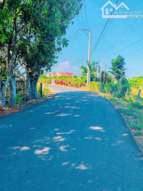 Bông Trang, Xuyên Mộc gần 2ha vườn nhãn mặt tiền nhựa đến 104m - 2