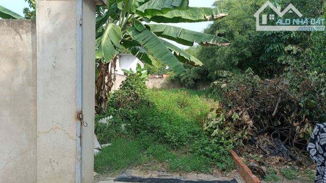 Lô đất đẹp HXT thông Lê Lợi  ,Hóc Môn,DT 185m2 ,Giá chỉ 4.1 tỉ (TL) - 2