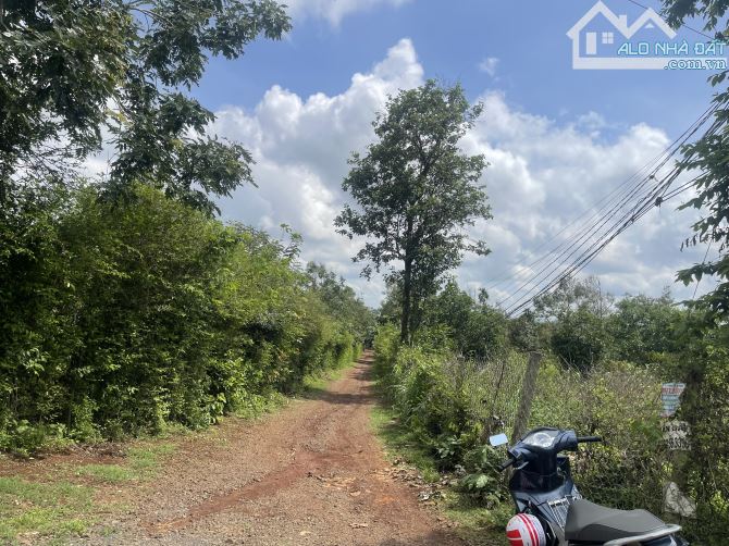 Bán Đất Góc 2mt KomLeo Hoà Thắng - 2