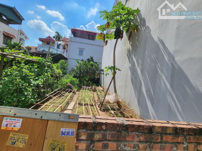 Thanh Trì cần bán 56m2 đất ĐẤU GIÁ mặt tiền 5m Ô tô tránh 4.2x tỷ - 2