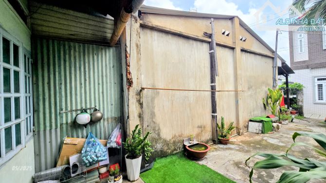 CẦN BÁN 2 CĂN NHÀ CẤP 4 RỘNG 230m² Tại Trung Tâm Sầm Uất Của Phường Hố Nai, BH-ĐN - 2