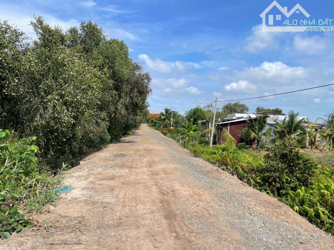 Kẹt ngân hàng cần bán gấp 2.1 mẫu đất Tân Phước, Tiền Giang, giá 210 triệu/công, đường oto - 2