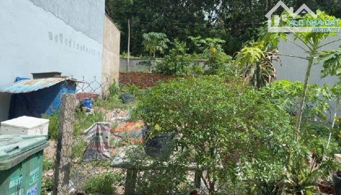 LÔ ĐẤT 2 MẶT TIỀN, NỞ HẬU, DT 197M²(NGANG 9M), GẦN VINHOMES GRAND PARK - 2