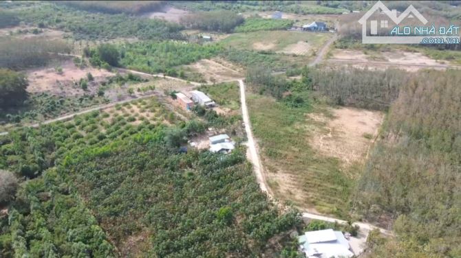 1 HA ĐỒNG TÂM CÓ 170M MẶT TIỀN BÊ TÔNG PHỦ HỒNG GIÁ 2.2 TỈ - 3