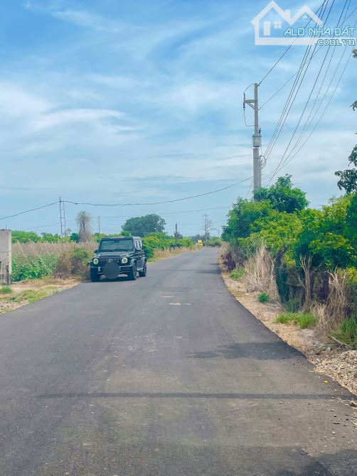 Bông Trang, Xuyên Mộc gần 2ha vườn nhãn mặt tiền nhựa đến 104m - 4