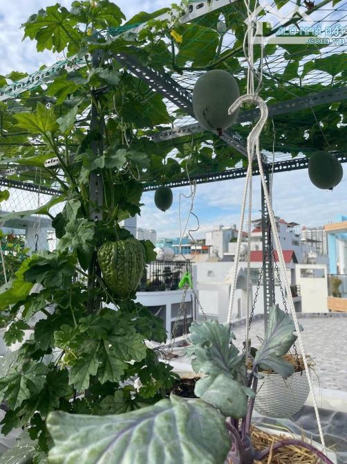 🏡 SIÊU NHÀ 5 TẦNG – NGUYỄN NGỌC LỘC – Q.10 – VƯỜN RAU SÂN THƯỢNG – GIÁ CHỈ 5.65 TỶ 🌿 - 7