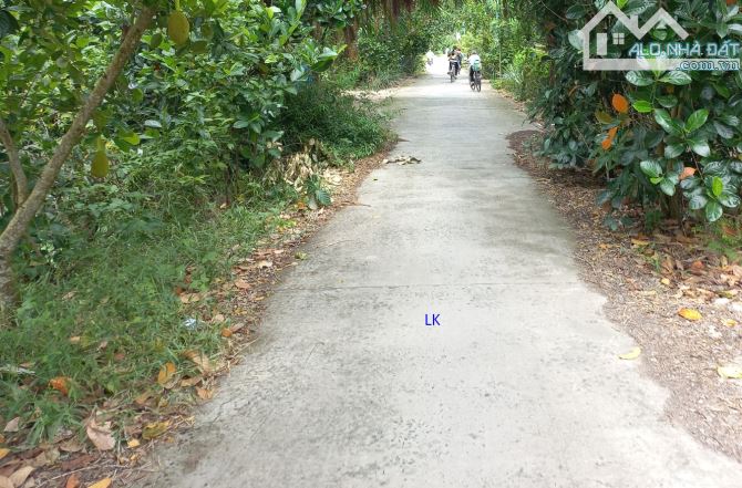 🔰 Bán nền: 7.5m x 34m, Thổ 100% 🔰 Đường đan 3m, xã Mỹ Đông, H Tháp Mười.