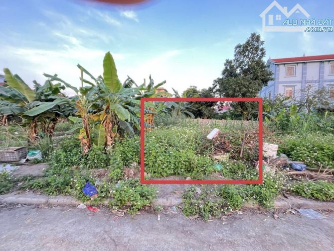 Đất đấu giá Tiên Kha Tiên Dương Đông Anh , 2 làn ô tô , ô tô 16 chỗ vào đất