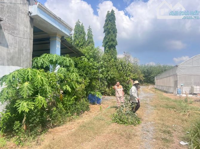 Đất thạnh tây cách chợ Tân Biên 1,3km dt 5x32m thổ cư 50m2 giá 199tr