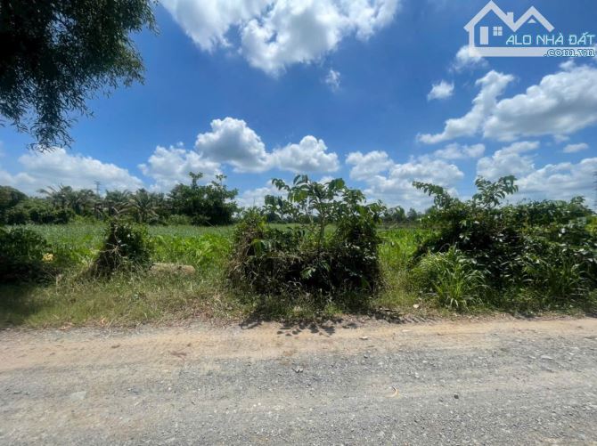 7000m2 đất nuôi trồng thủy sản, xã Phú Hòa Đông, Củ Chi giá 5 tỷ - 1