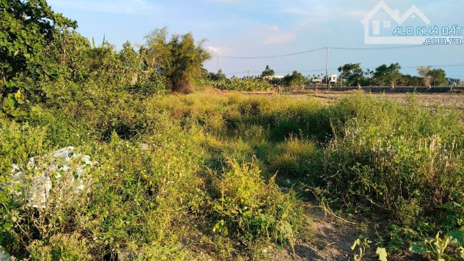 Bán lô đất thôn La Bông, 338 m2, ngang 10m, 1 tỷ 850, Hòa Tiến, Hòa Vang, Đà Nẵng - 1