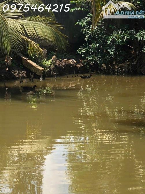 SIÊU PHẨM ĐẤT VƯỜN LONG THUẬN – LONG PHƯỚC, THỦ ĐỨC - 1
