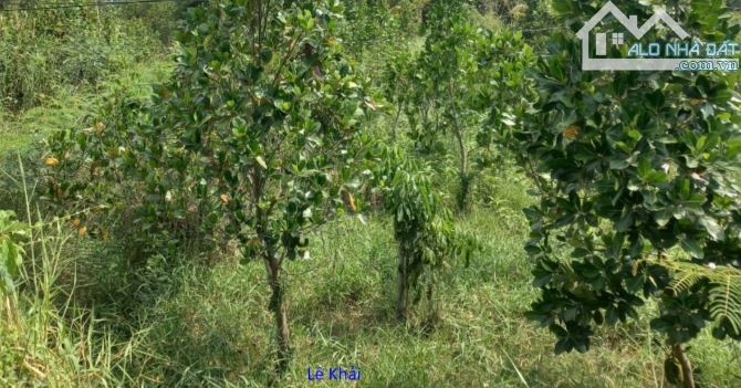 🔰 Bán nền: 7.5m x 34m, Thổ 100% 🔰 Đường đan 3m, xã Mỹ Đông, H Tháp Mười. - 2