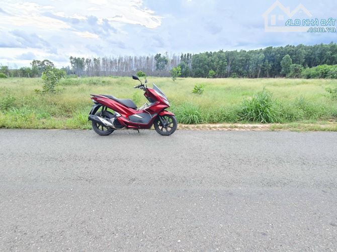 Chủ cần bán mặt tiền Trần Phú, Phước An, Nhơn Trạch 33.3m x 130m, có sẵn 500m2 thổ cư - 3