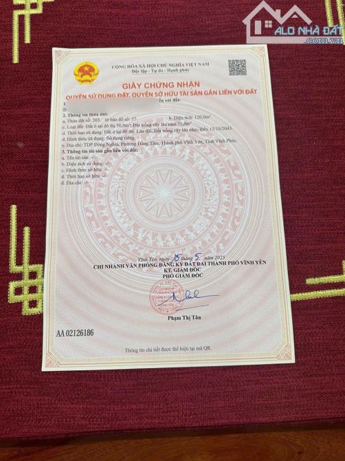 🌹🌹Bán gấp lô đất Đông Nghĩa, Đồng Tâm, Vĩnh Yên 120m mt6m ô tô đỗ cửa 1,85 tỷ sổ đỏ cc - 4