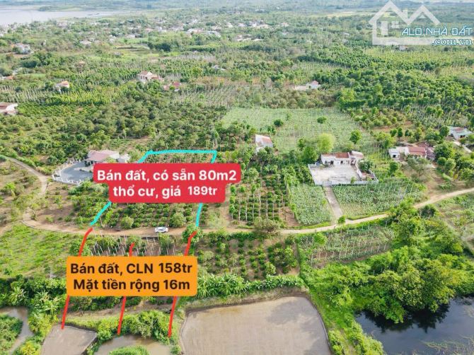 👊 Đất Viêw Suối 534m2 ngang 16m Tại EaHu, CưKuin , Đaklak - 5
