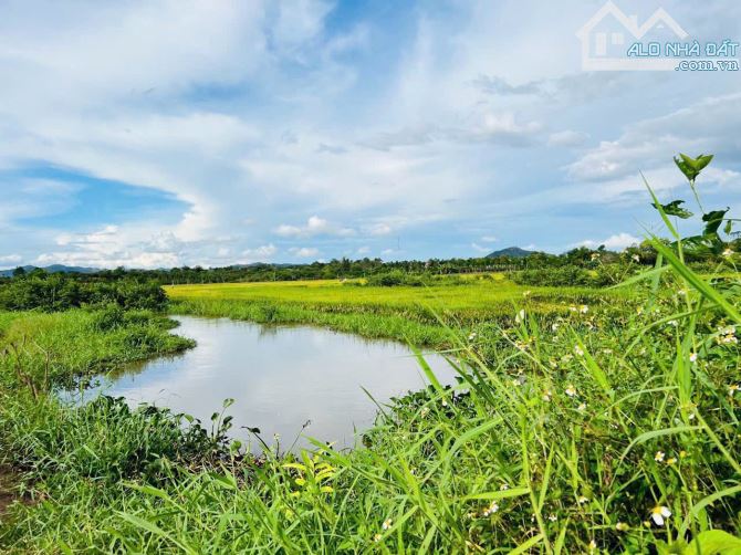 👊 Đất Viêw Suối 534m2 ngang 16m Tại EaHu, CưKuin , Đaklak - 6