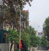 Bán lô Đại Dương dãy NQ1 dt 131m mt 7.1m hướng tb giá 14.6tỷ
