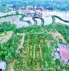 👊 Đất Viêw Suối 534m2 ngang 16m Tại EaHu, CưKuin , Đaklak