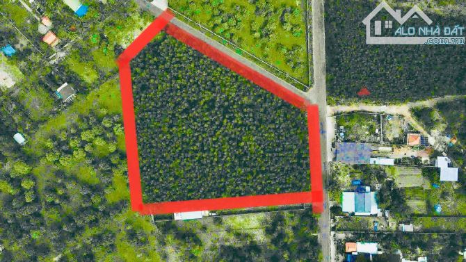 Đất tt Phước Hải, 9626m2- góc 2 mặt tiền nhựa- tổng 152m mặt tiền- đối diện hồ Sở Bông,