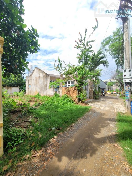 2,1Tỷ TL🔥Bán đất 120,7m2 Cách đường Bùi Hữu Nghĩa 100m, p.Tân Hạnh, Tp.Biên Hòa
