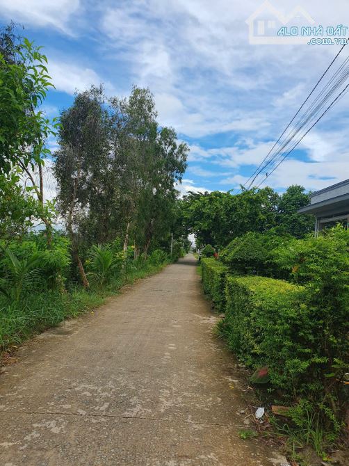 nền thổ cư ấp 1B xã Tân Trạch cách tỉnh lộ 833 khoảng 200m