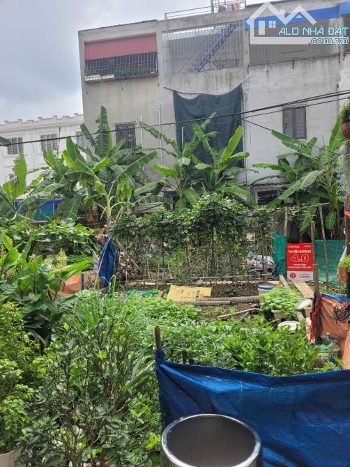 Bán đât ở gần chung cư tổ 7 thị trấn An Dương 59 m2, 1,72 tỷ